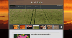 Desktop Screenshot of karelburian.com